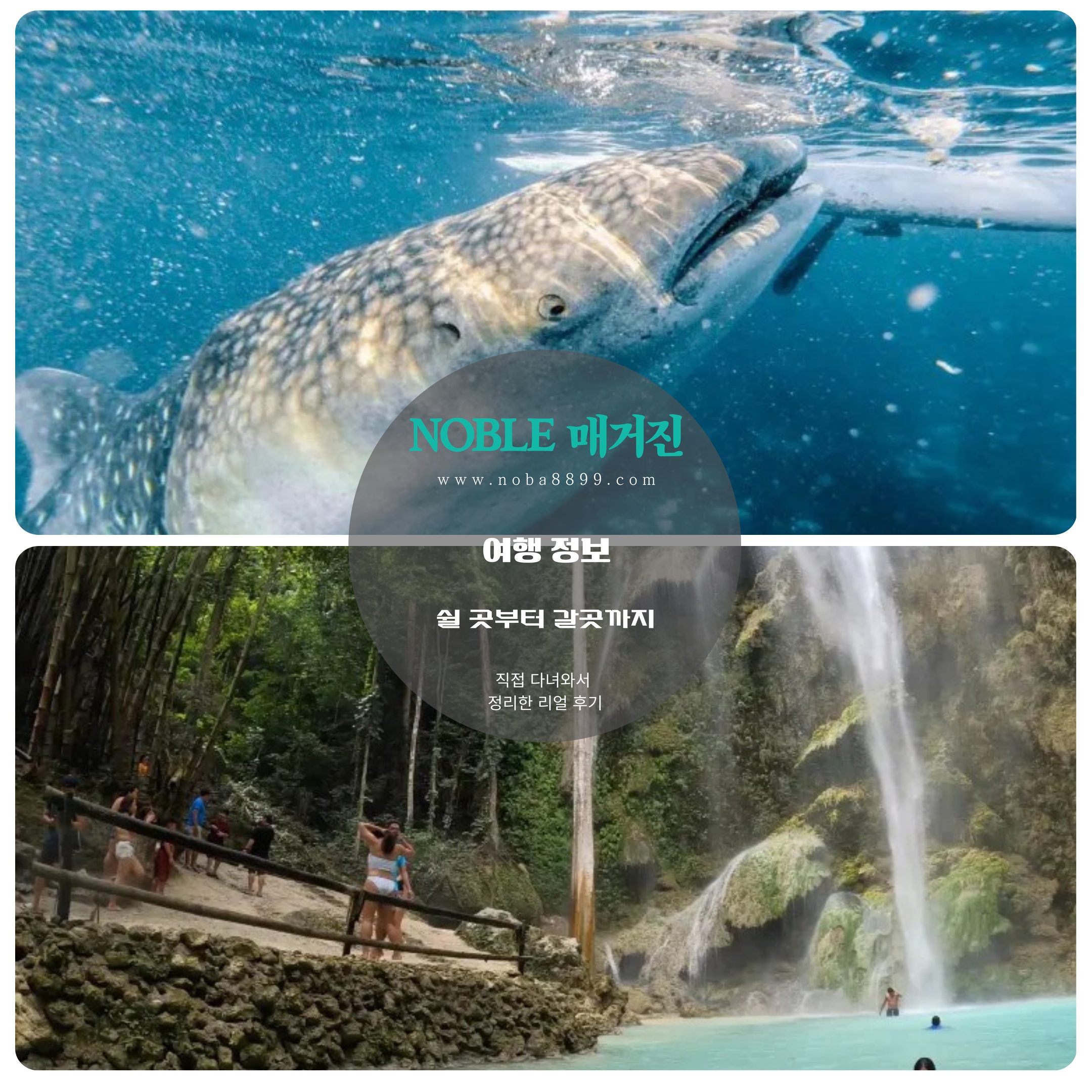세부 오슬롭 투어장면과 폭포 아래 배경이 함께 보이는 모습으로, 세부여행 초반에 배치하기 좋은 안정적인 코스로 보기는 어렵고 하루를 따로 잡아보시는 편이 좋은 구간