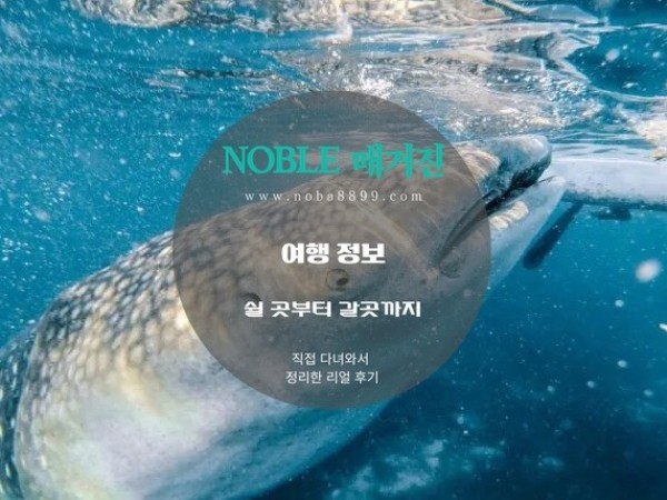 세부자유여행 일정 이렇게 잡으시는 것이 좋습니다