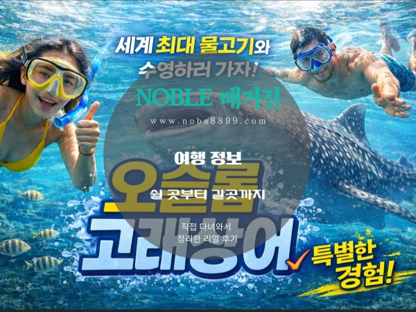 세부 오슬롭 고래상어 투어